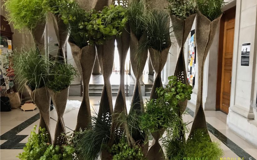Organic Modules: Modular Wallscapes for Shade and Food