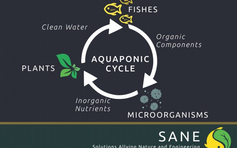 Allying the Aquaponics with the Superadobe technique