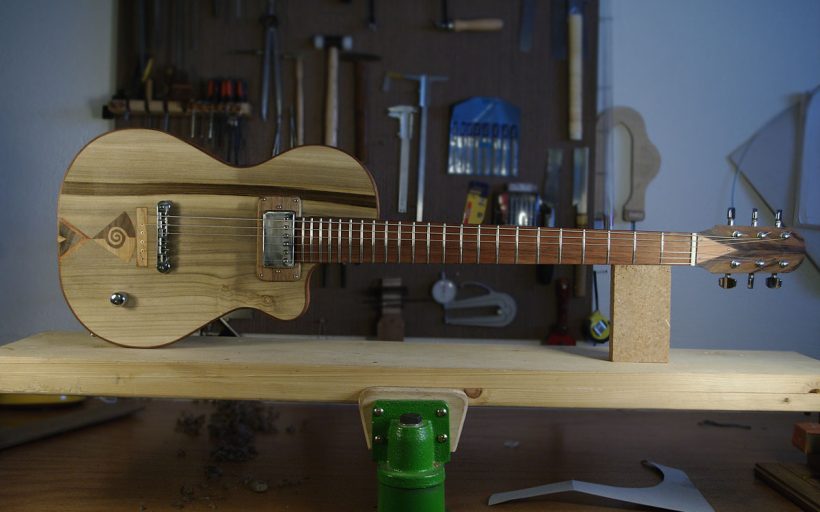 Green guitars – Non-exotic woods instruments
