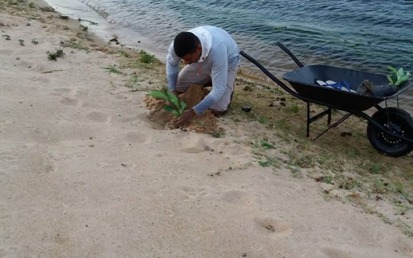 Actions to protect water resources and reforestation in the Indigenous Land Caiçara/Ilha de São Pedro (Brazil)