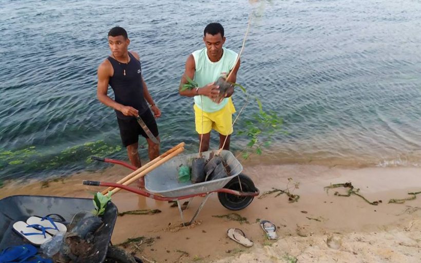 Actions to protect water resources and reforestation in the Indigenous Land Caiçara/Ilha de São Pedro (Brazil)