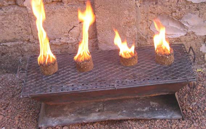 Promote the use of biomass briquettes as an alternative energy source.