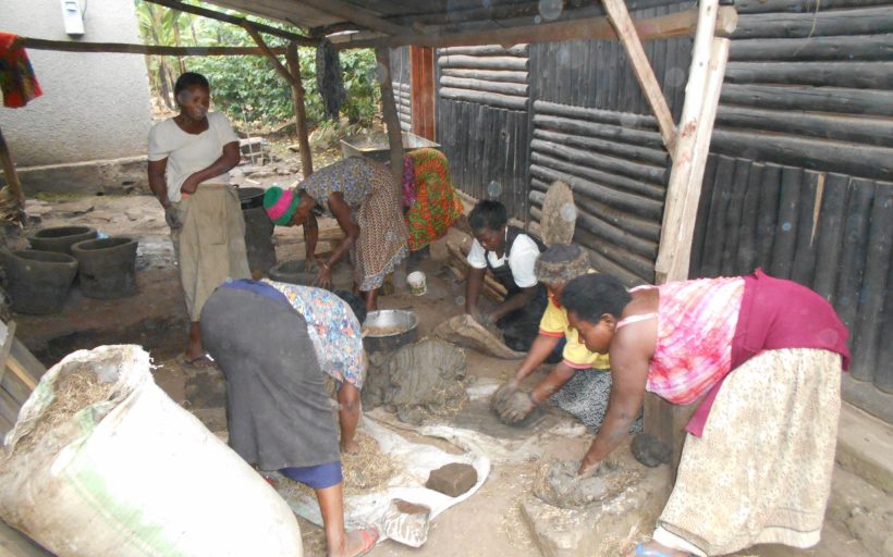 Construction of efficient energy cook-stoves and elephant dung paper making project.