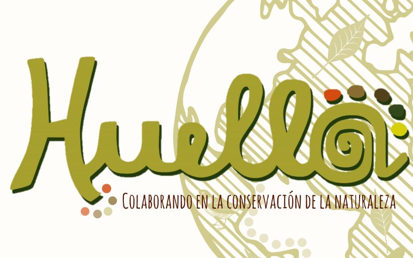 Proyecto Voluntariado Huella