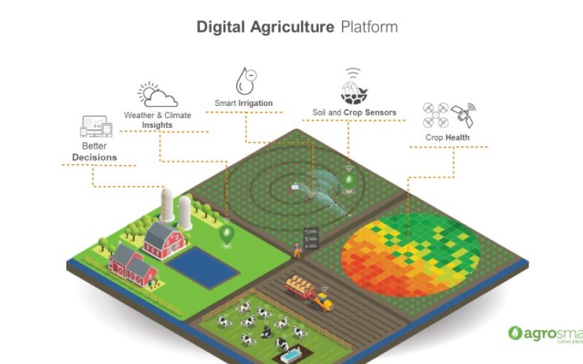 Bringing digital agriculture for climate resilience in developing countries