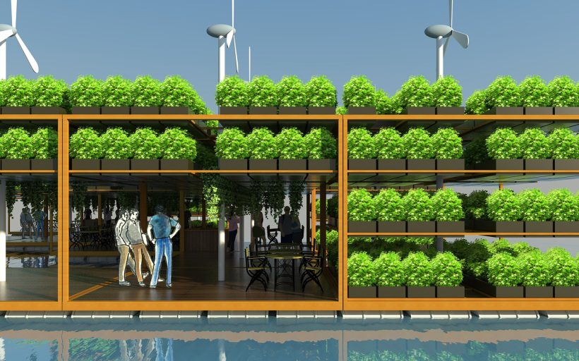 Facing the climate change – make the water pure with plant island