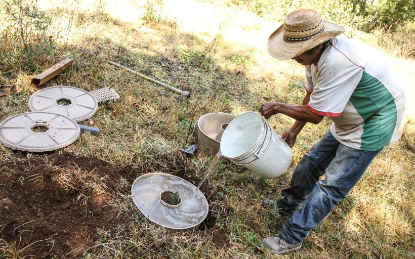 Restoring the iconic monarch butterfly habitat with the Cocoon