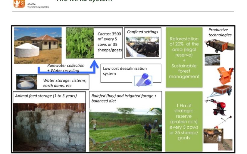 MAIS LEITE – Building climate resilience cattle farming in vulnerable areas