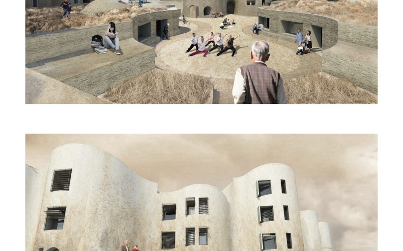 TOO MUCH SAND AND NOT ENOUGH SAND: building symbiotic housing with local soil