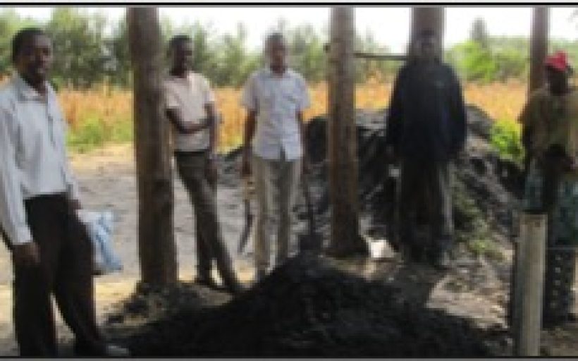 A carbon-negative fertilizer that helps rural farmers improve their yields by 30%, income by 50%, and decrease irrigation